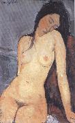 Amedeo Modigliani Seted Nude (mk39) oil painting artist